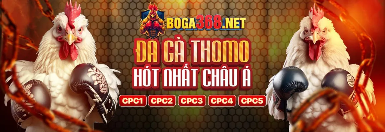 Trò chơi đá gà trực tuyến tại 1win code